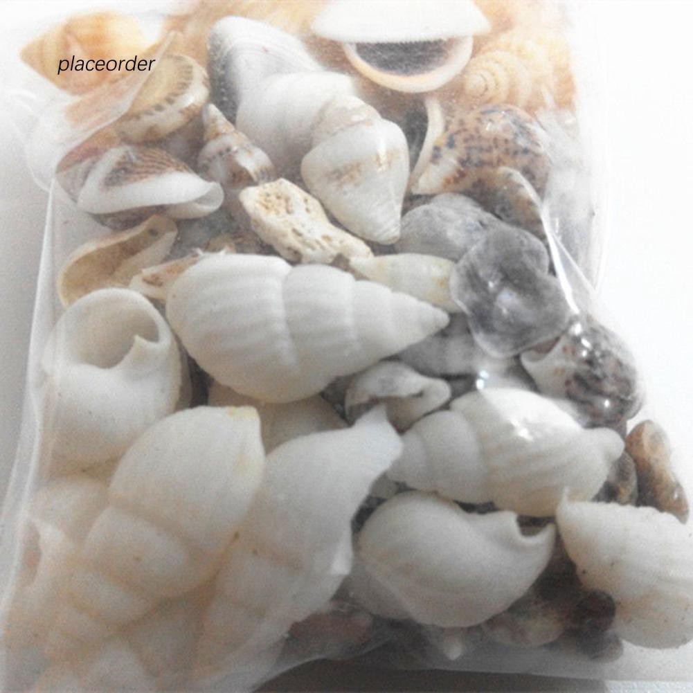 40 vỏ ốc bằng nhựa mini trang trí cây cảnh