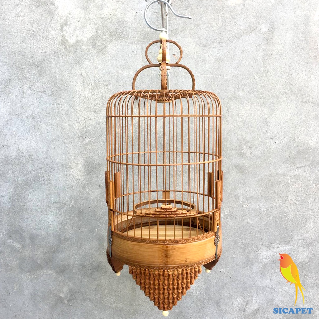Lồng chim khuyên đẹp, chim Sâu, Lồng chim vành khuyên đục đốt trúc đẹp, chim sâu SICAPET