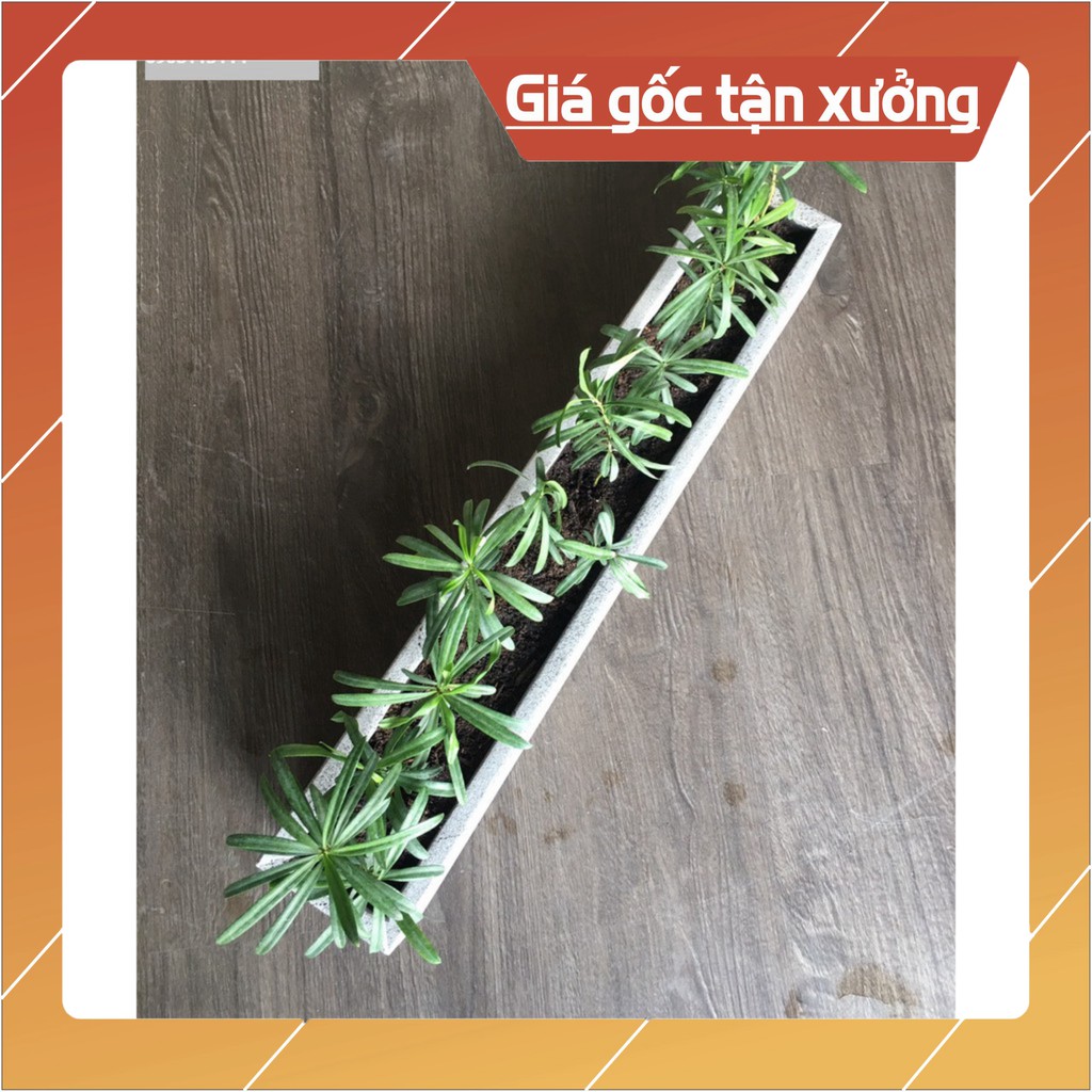 Chậu cây treo tường trồng hoa dài 60cmx cao10cm hình chữ nhật bằng đá ong xám đẹp N-6010