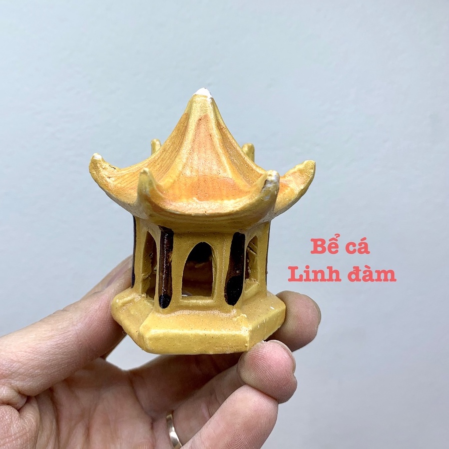 Tiểu cảnh trang trí bể cá, hòn non bộ, sân vườn, bàn làm việc