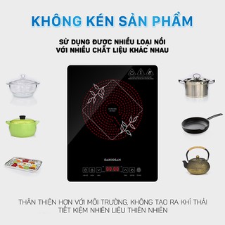 Bếp hồng ngoại Daikiosan DKN-100003