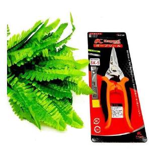 Kéo cắt cành Kapusi K8630 ( THẲNG)