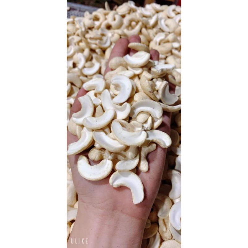 combo  hạt  làm sữa 9.5kg hạt
