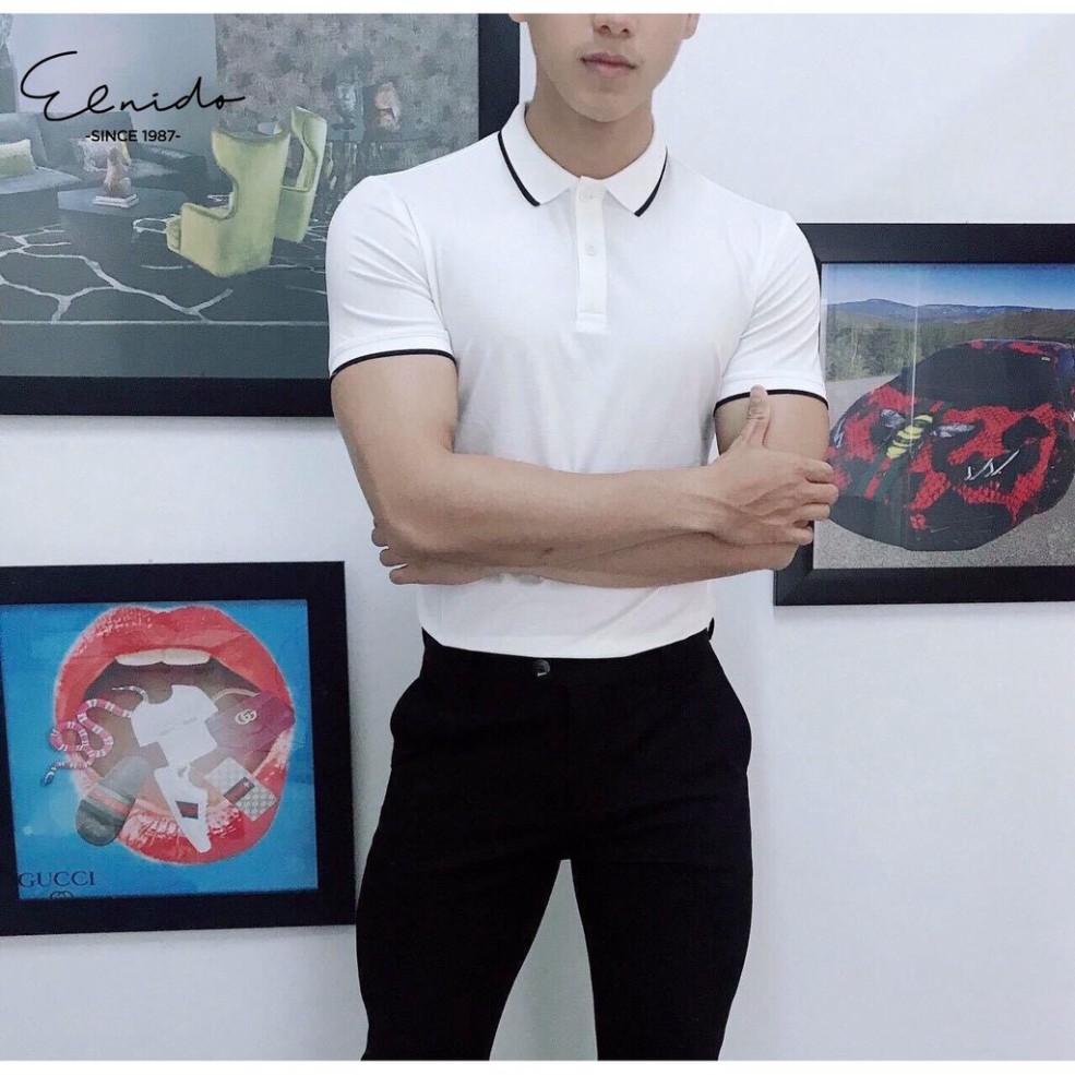 Áo polo nam có viền tay chất liệu cao cấp ELNIDO flasksale | BigBuy360 - bigbuy360.vn