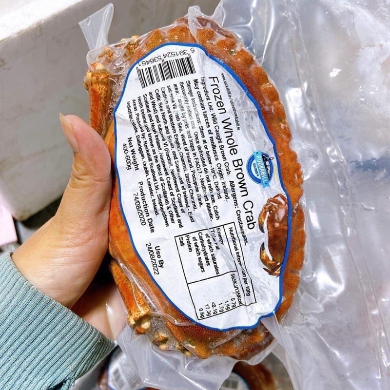 🦀 Cua nâu Na-Uy 🦀