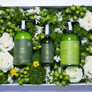 Combo gội, xịt, xả bưởi trị rụng tóc, kích thích mọc tóc cực hiệu quả