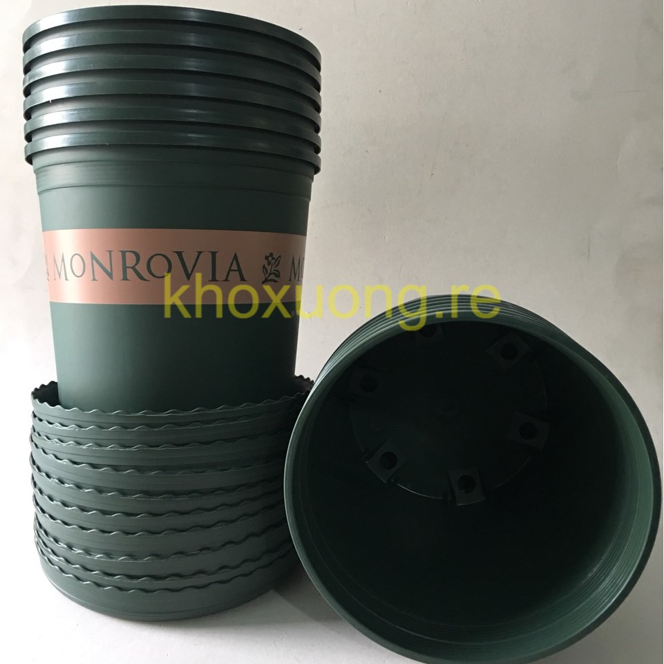 10 Bộ Số 2 Chậu Nhựa Gallon, Chậu Nhập Khẩu MonRovia (2Gallon= 22.5x21cm)