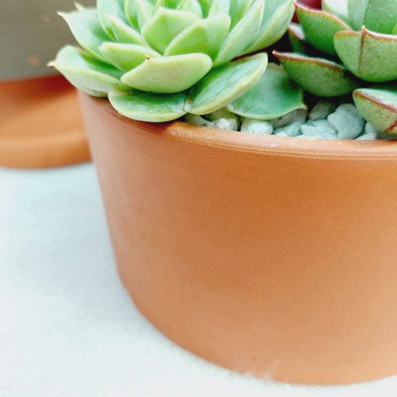 Chậu đất nung, Chậu sen đá - Trụ 157, miệng chậu 14cm->15cm, chiều cao 7cm