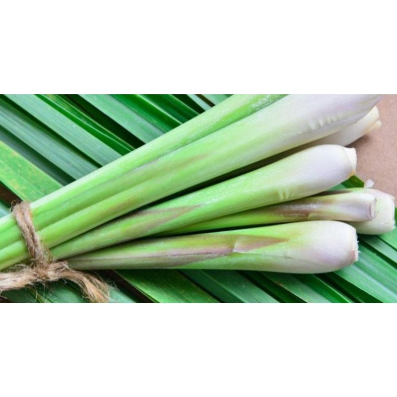 Sả tươi 500g