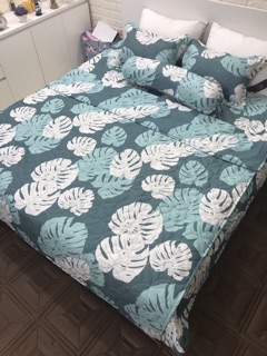 Vỏ chăn ga gối poly cotton TRẦN BÔNG