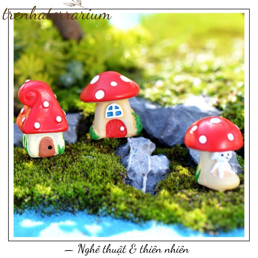 Tiểu cảnh nhà Trum trang trí sen đá, xương rồng, terrarium, charm slime, cây cảnh mini, cây để bàn