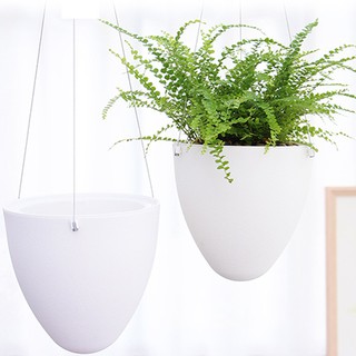 Chậu trồng cây thông minh - chậu treo hình quả trứng