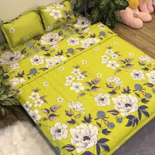 Chăn Ga gối cotton poly