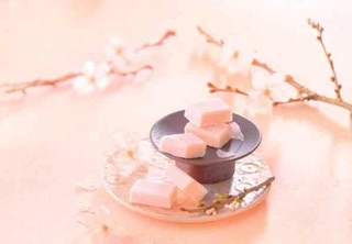 CHOCOLATE TƯƠI NAMA VỊ SAKURA