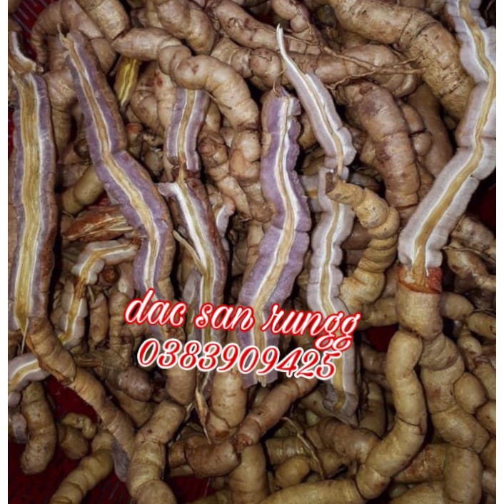 1kg Củ Ba Kích Tím Quảng Ninh Nguyên Củ Loại 1