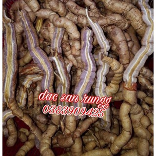1kg Củ Ba Kích Tím Quảng Ninh Nguyên Củ Loại 1