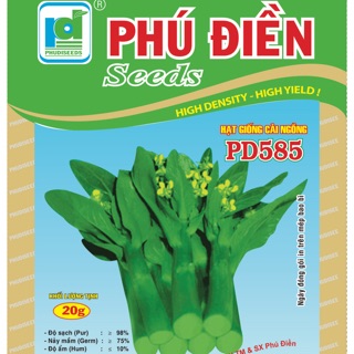 Hạt giống rau cải ngồng PD585