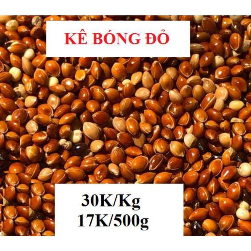 1Kg hạt kê đỏ bóng, Thức ăn cho chim cảnh, Vẹt, chim Yến Phụng, cu gáy, Hamster và các dòng chim sẻ