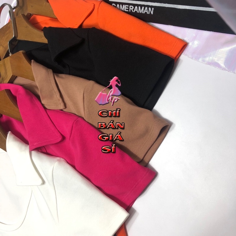 áo croptop nữ ôm body kiểu cổ bẻ tay ngắn khoét ngưc mẫu mới thời trang 2021 #36LA03 | BigBuy360 - bigbuy360.vn