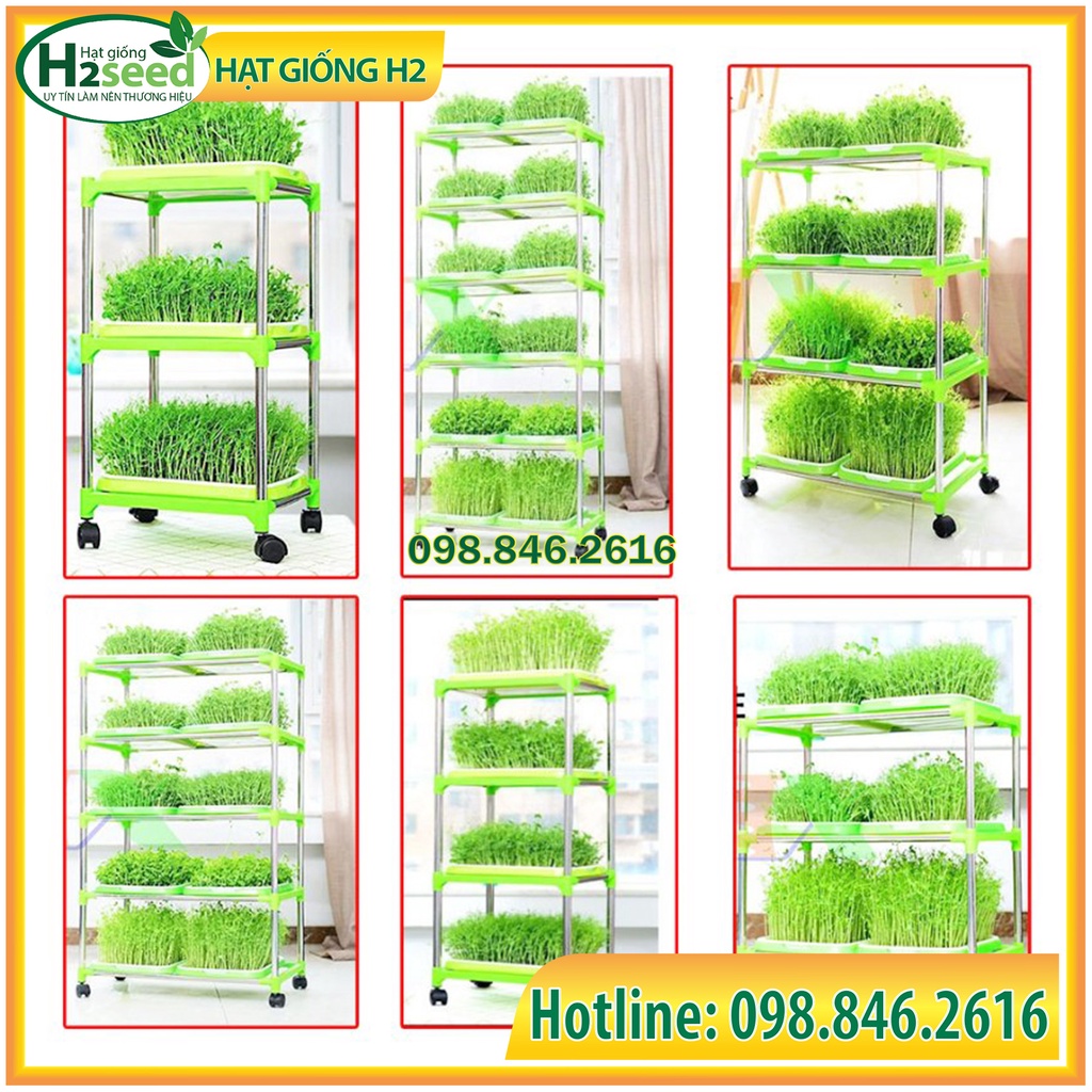 Kệ + khay trồng rau mầm thủy canh chuyên dụng có bánh xe dễ dàng di chuyển