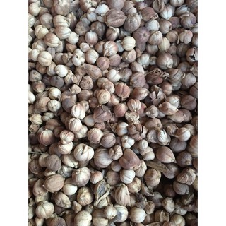 Bạch đậu khấu (Gói 10g)