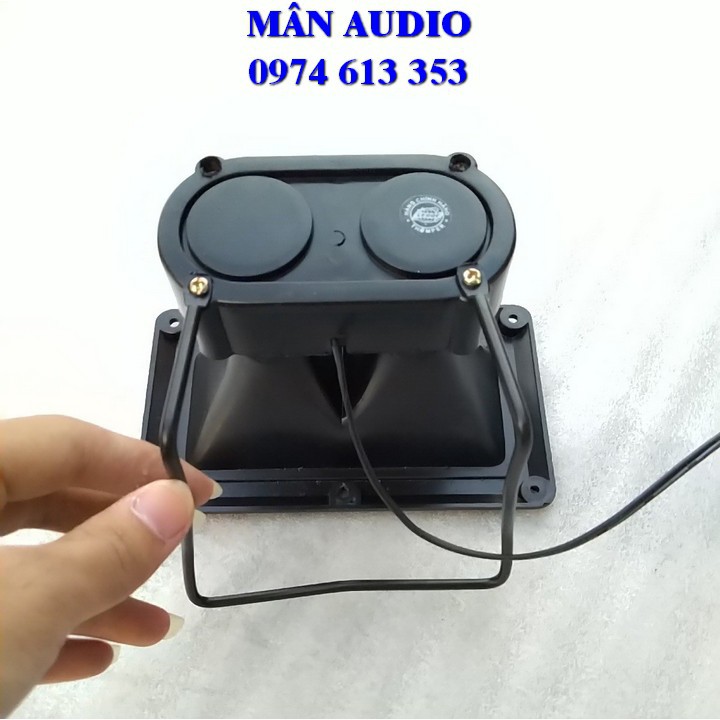 COMBO 2 CHIẾC LOA TREBLE KÍCH THƯỚC LỚN THUMPER E20 - GẮN AMPLI