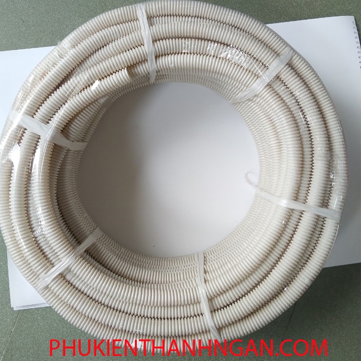 RUỘT GÀ PHI 25