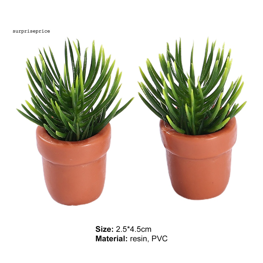 Mô Hình Chậu Cây Mini Bằng Nhựa Resin Dùng Trang Trí Tiểu Cảnh