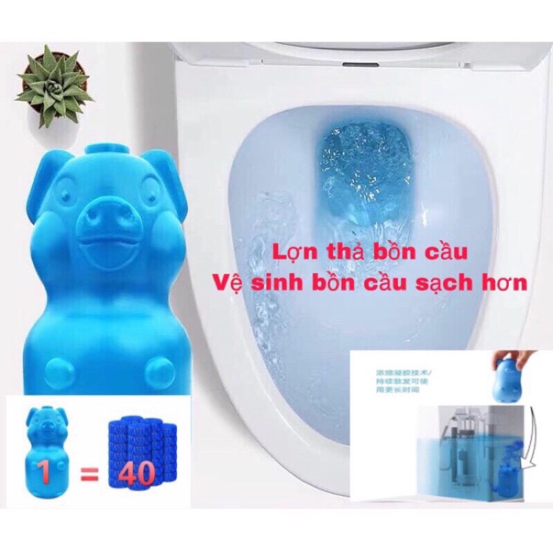 Lọ thả bồn cầu con heo khử mùi, cốc thả cầu heo diệt khuẩn hiệu quả bằng 40 viên tẩy bồn Store4girls