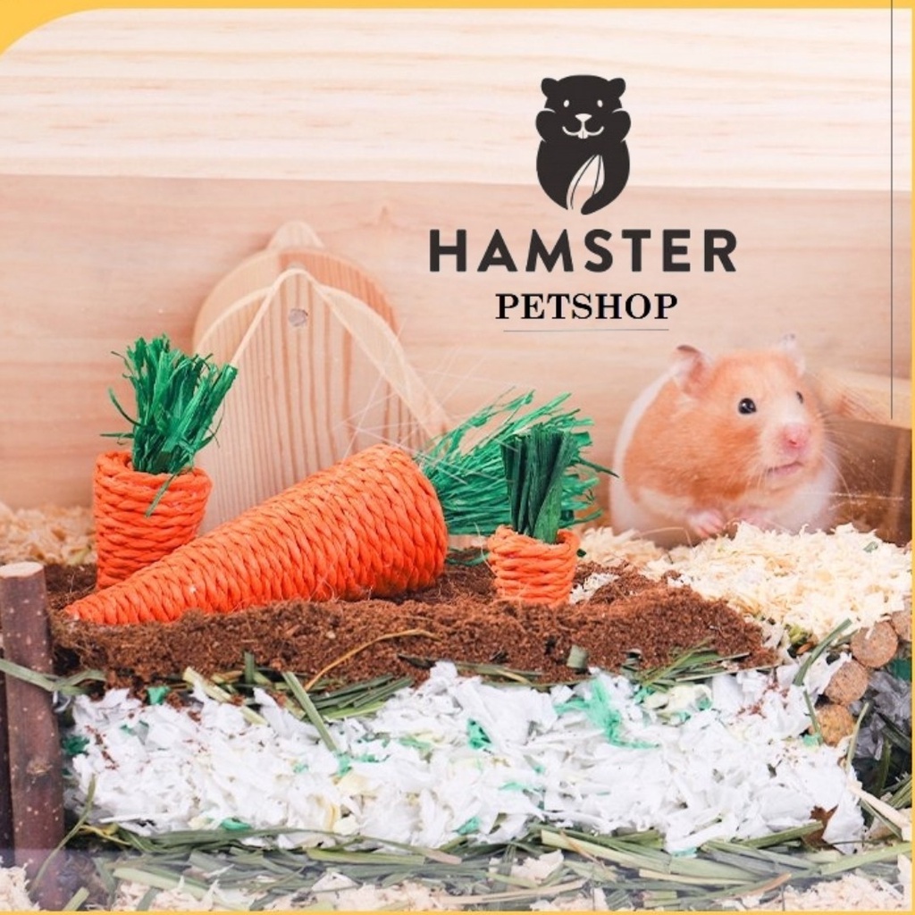 Cà rốt mài răng và trang trí chuồng cho Hamster