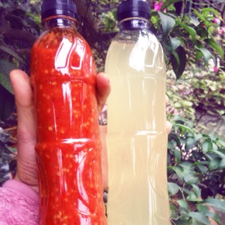 Tương ớt handmade % tỏi ớt