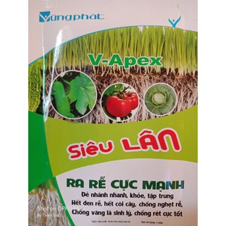 Siêu Lân Ra Rễ Cực Mạnh mẫu mới 2020