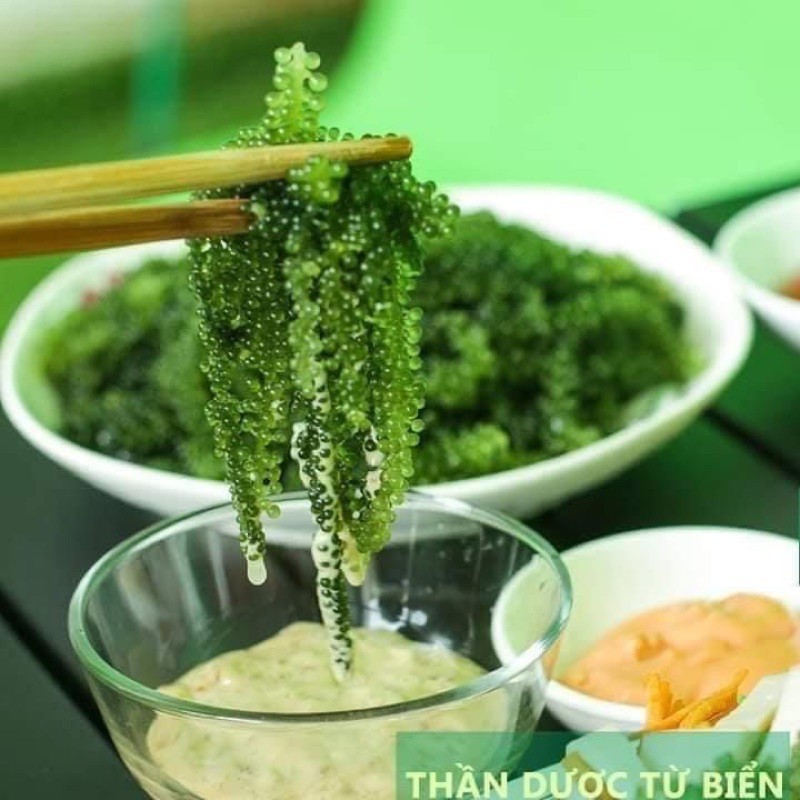 Rong nho Green Food cao cấp nở ra rong nho tươi Organic Hàng công ty check mã vạch | BigBuy360 - bigbuy360.vn