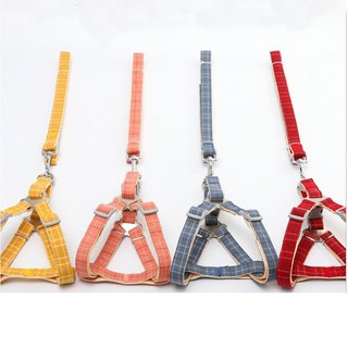DÂY DẮT CHÓ POODLE TỪ 5KG - 10KG