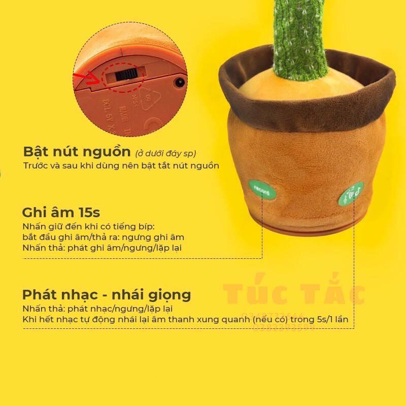 Xương rồng nhảy múa, xương rồng nhại tiếng