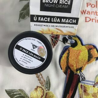 Ủ Face Lúa Mạch Trắng Da ASHI