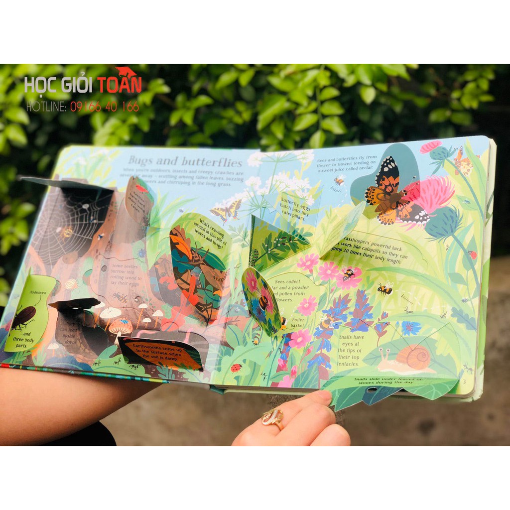 Sách: Usborne Look Inside Nature - Cuốn sách lật mở tìm hiểu về thiên nhiên