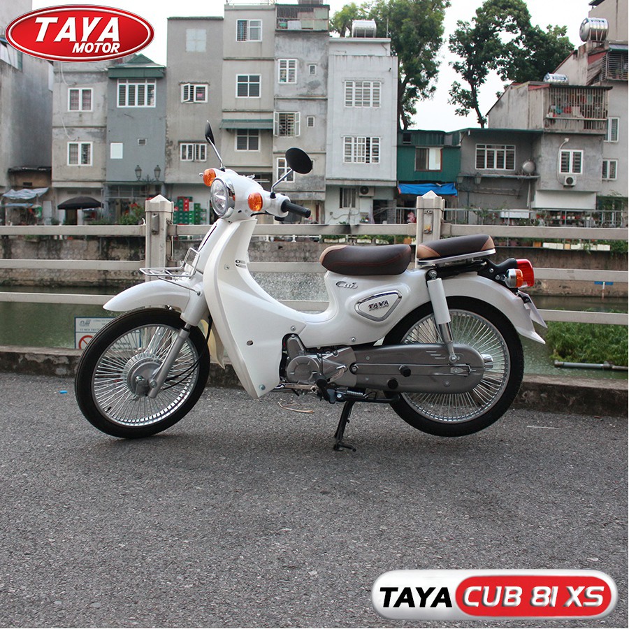 Xe máy CUB 81 TAYA XS (White)