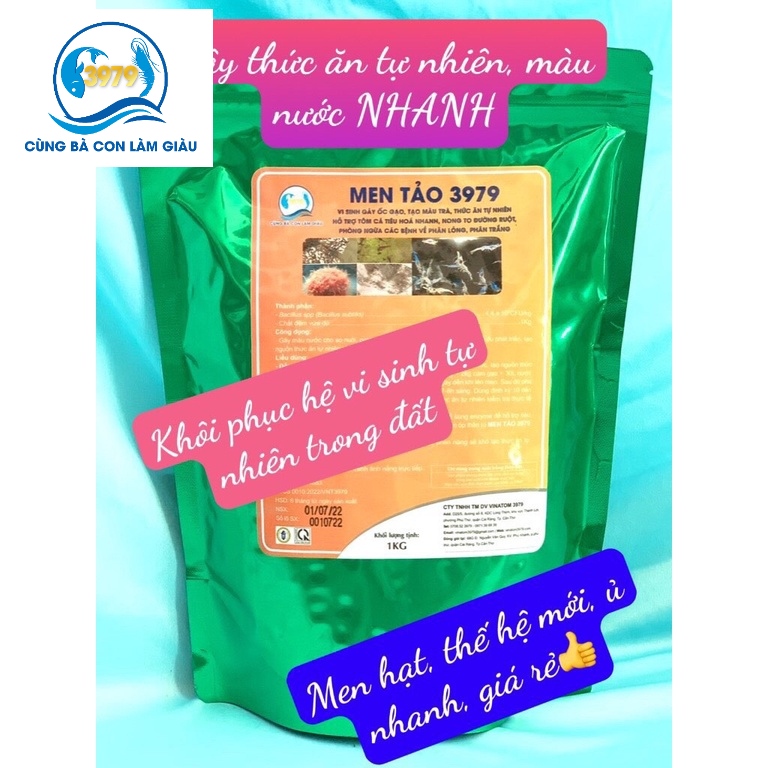 MEN TẢO 3979- MEN VI SINH GÂY ỐC GẠO, TẠO NƯỚC MÀU TRÀ, THỨC ĂN TỰ NHIÊN HỖ TRỢ TÔM CÁ TIÊU HÓA NHANH