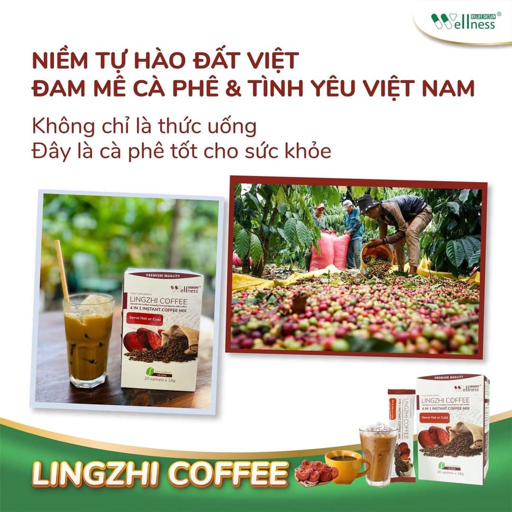 Cà phê sức khỏe, sắc đẹp Lingzhi Coffee - cà phê linh chi