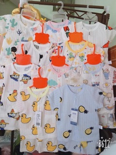 Bộ cotton giấy cộc tay cài cúc