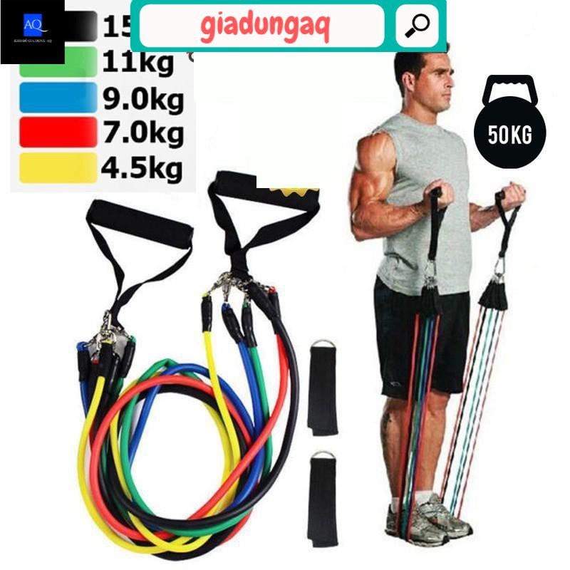 Dây ngũ sắc tập gym, dây kháng lực tập gym ngũ sắc thể hình đa năng tại nhà chất liệu cao su siêu bền