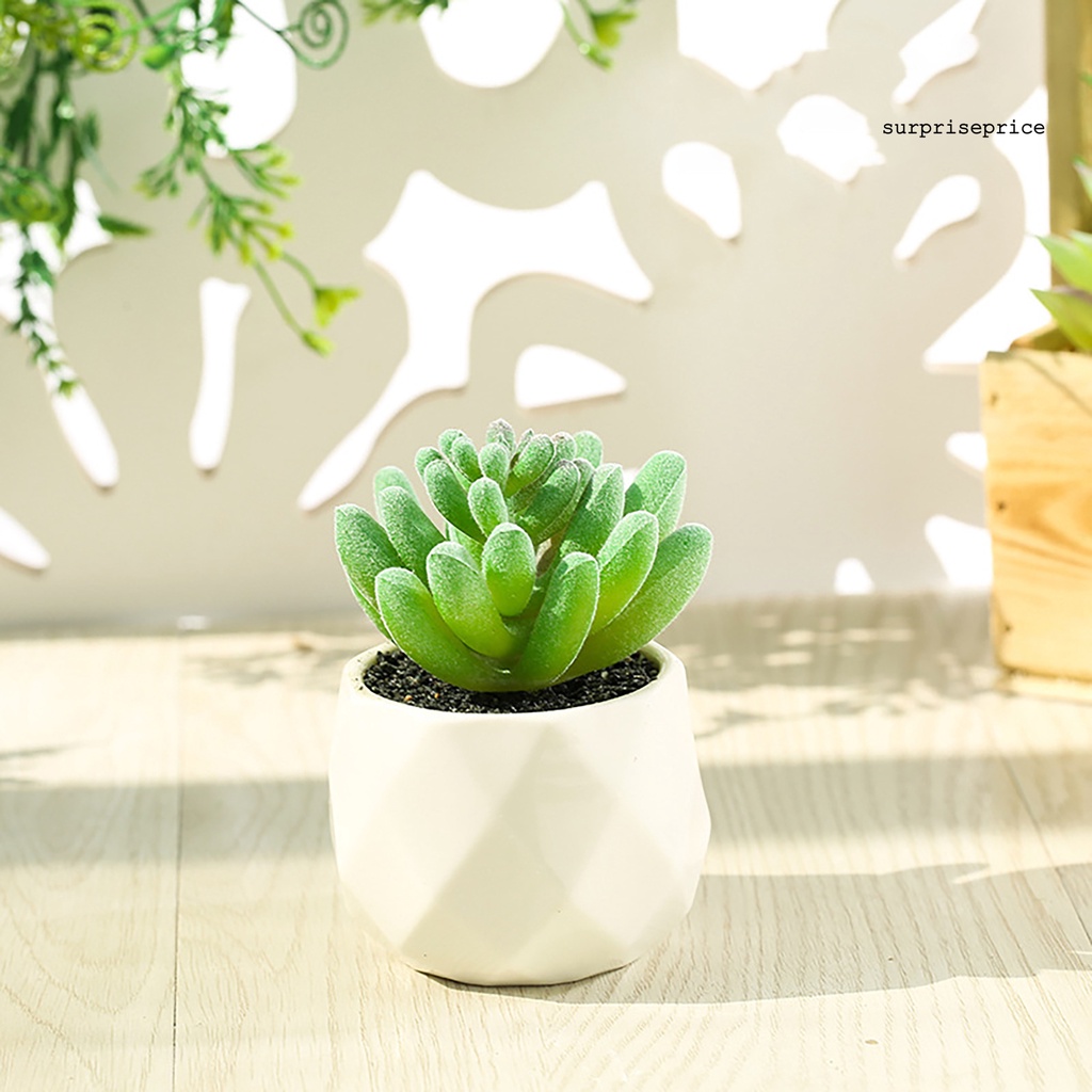 Chậu cây sen đá giả mini nhiều màu sắc trang trí nhà cửa