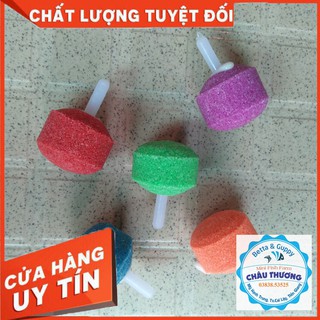 Đá sủi oxy cho hồ cá, sủi tròn nhiều màu sắc