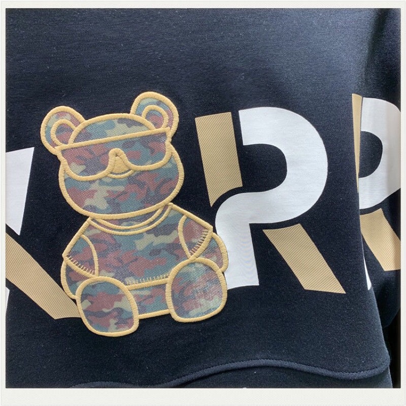 Áo nỉ nam thu đông dài tay gấu thêu chất nỉ thể thao nam cao cấp phong cách unisex trẻ trung năng động | BigBuy360 - bigbuy360.vn