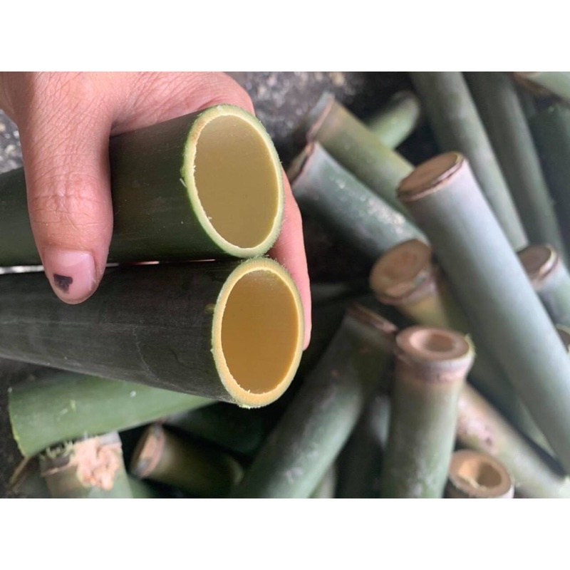 Com bo 20 Ống Nứa tươi nấu cơm lam nướng thịt-các món ăn dân dã đặc sản của đồng bào dan tộc miền núi