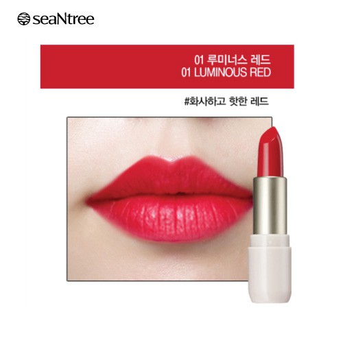 Son lâu trôi có dưỡng SEANTREE LOVELY GIRL LIPSTICK 3.2g | BigBuy360 - bigbuy360.vn