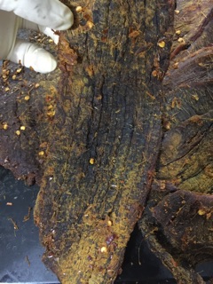 Khô bò miếng 200gr