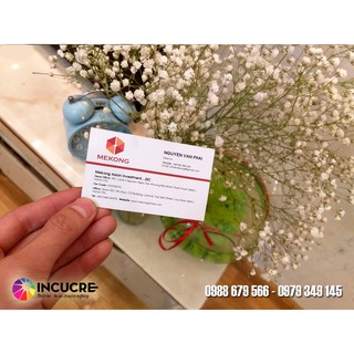 [THIẾT KẾ MẪU NHANH] 500 name card thiết kế Free
