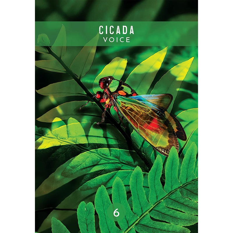 Bộ Bài Messages from the Spirits of Nature Oracle (Mystic House Tarot Shop) - Bài Gốc Authentic Chính Hãng 100%